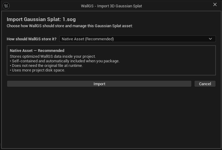 3DGS import dialog with Native Asset selected
